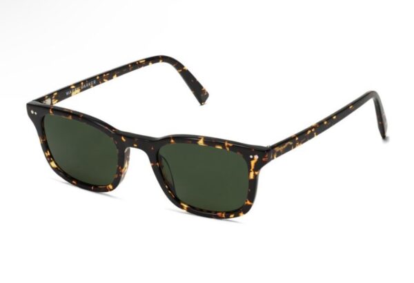 366761425 1348820129361527 7378748864327755879 n