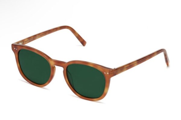 366770325 682286296664219 8835197869176245084 n