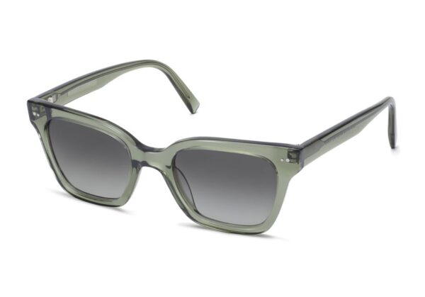 366790488 229929182942708 4234849525816311522 n