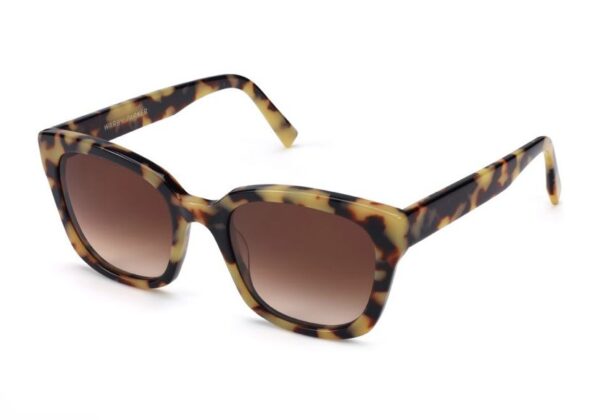 367591823 605050718496022 1791559725725417319 n